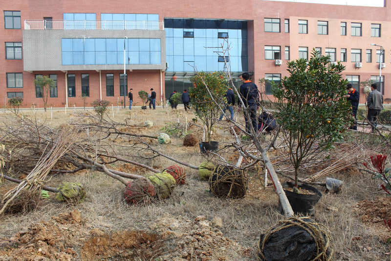 3月12植樹節(jié)，看看竑光人建設(shè)園林單位的勢(shì)頭！